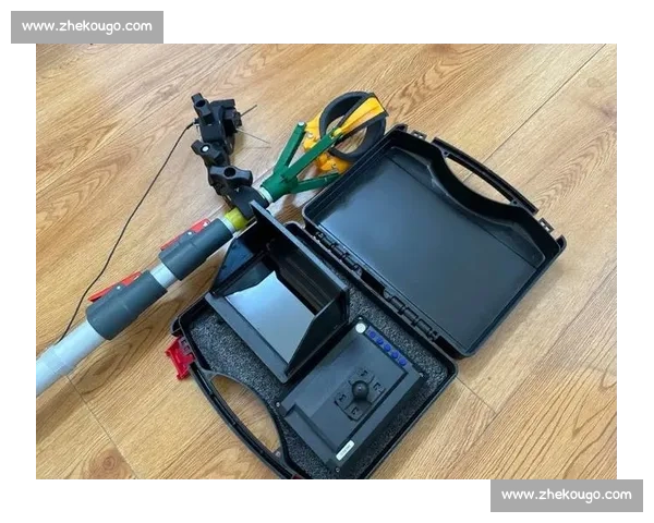 颐和园 “打捞神器” 3 分钟捞起落水手机 游客惊喜发现仍可使用 颐和园 “打捞神器” 3 分钟捞起落水手机 游客惊喜发现仍可使用