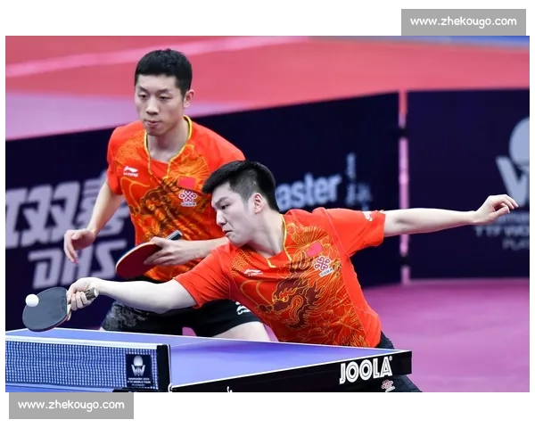 樊振东与 “人民艺术家” 许昕对练：球台三米外的乒乓美学碰撞