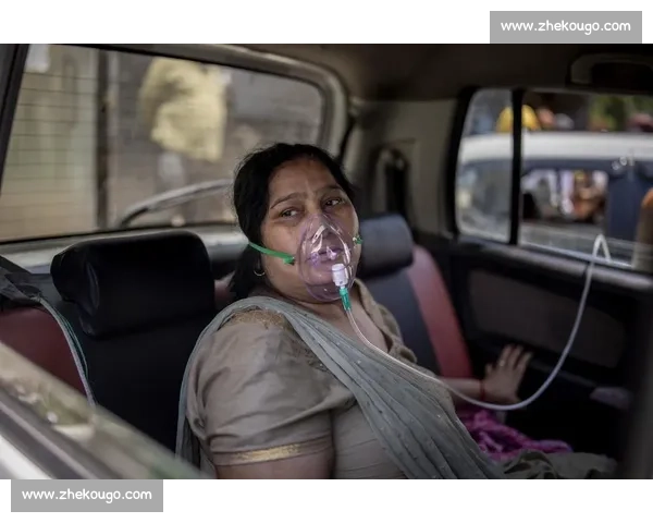 印度亿万富翁马球赛中吞蜂猝死 罕见过敏反应夺命