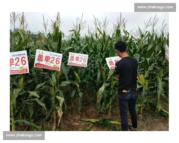 图赫尔更衣室暖心一幕：欧青赛夺冠后拥抱每位球员彰显领袖魅力